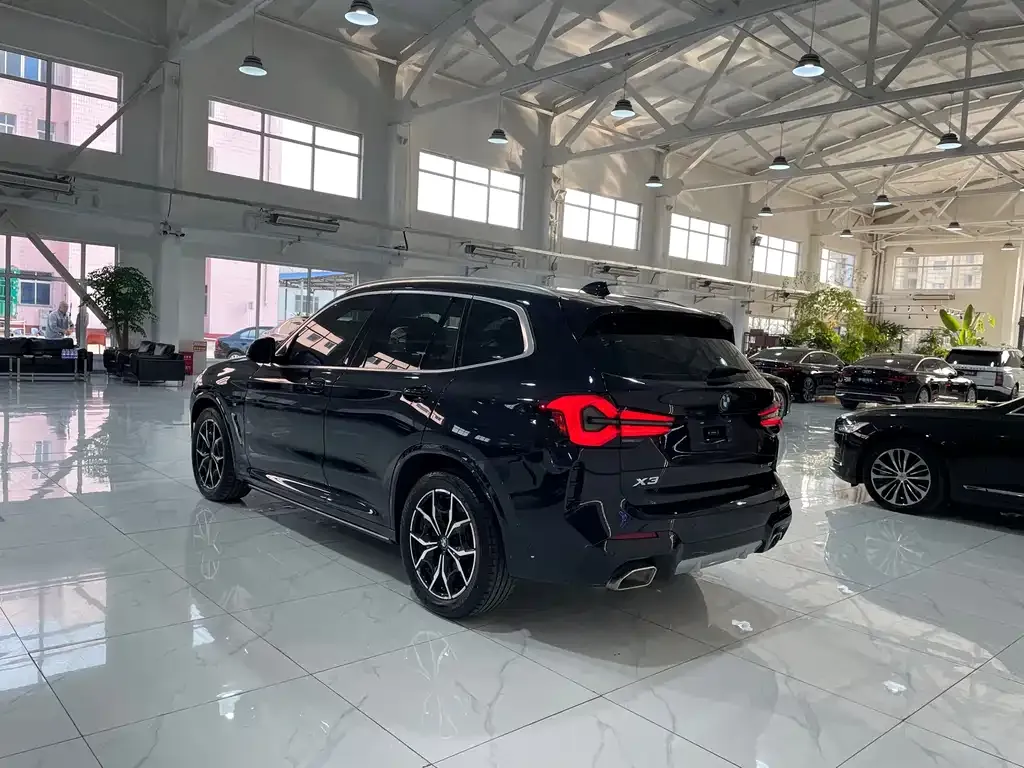 BMW X3 2024 из CN, фото 8