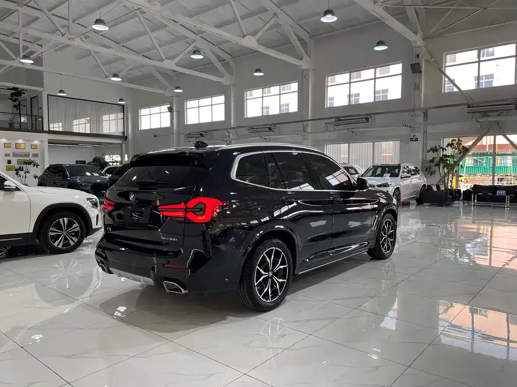 BMW X3 2024 из CN, фото 5