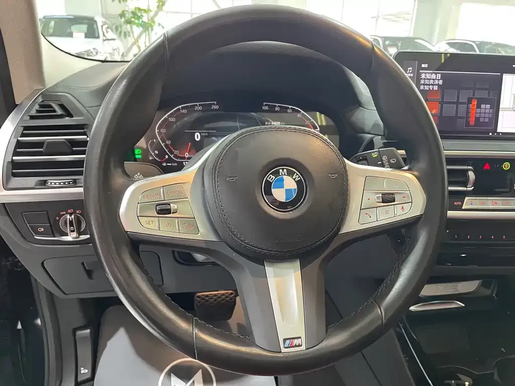 BMW X3 2024 из CN, фото 9