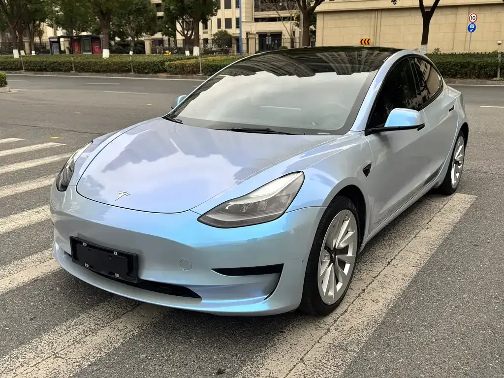 Tesla Model 3 2021 из CN, фото 1