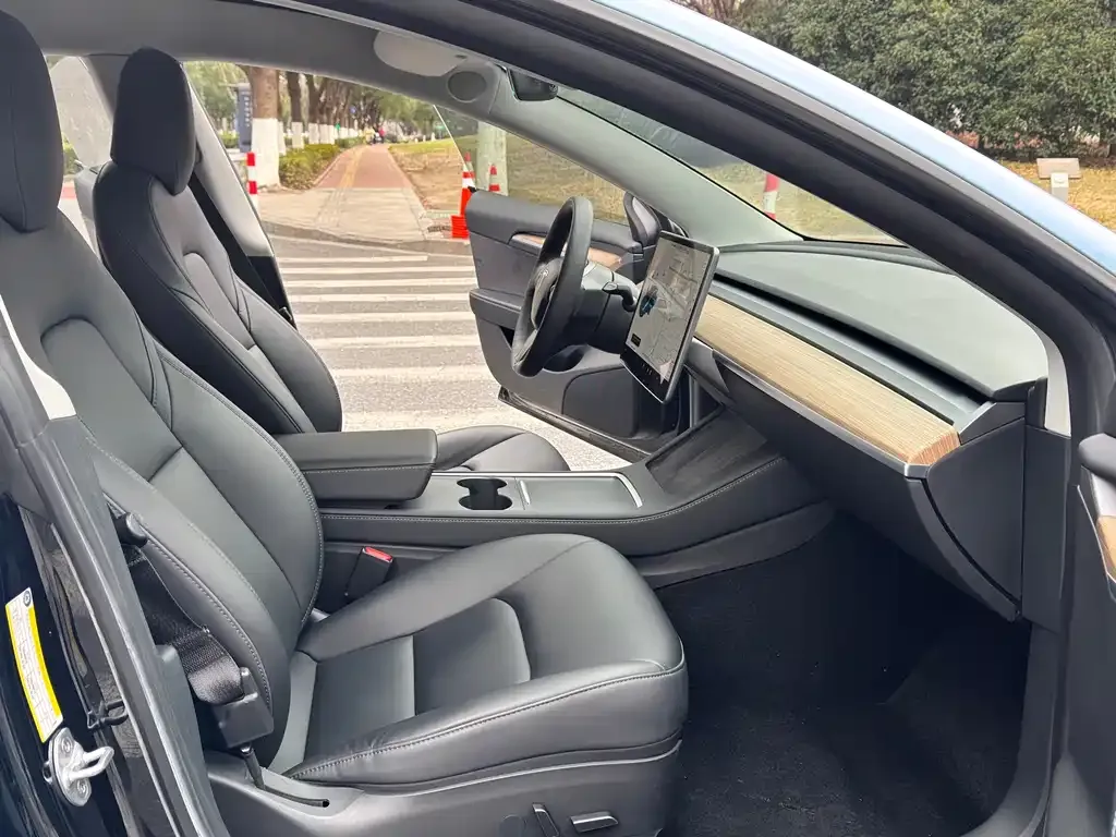 Tesla Model 3 2021 из CN, фото 2