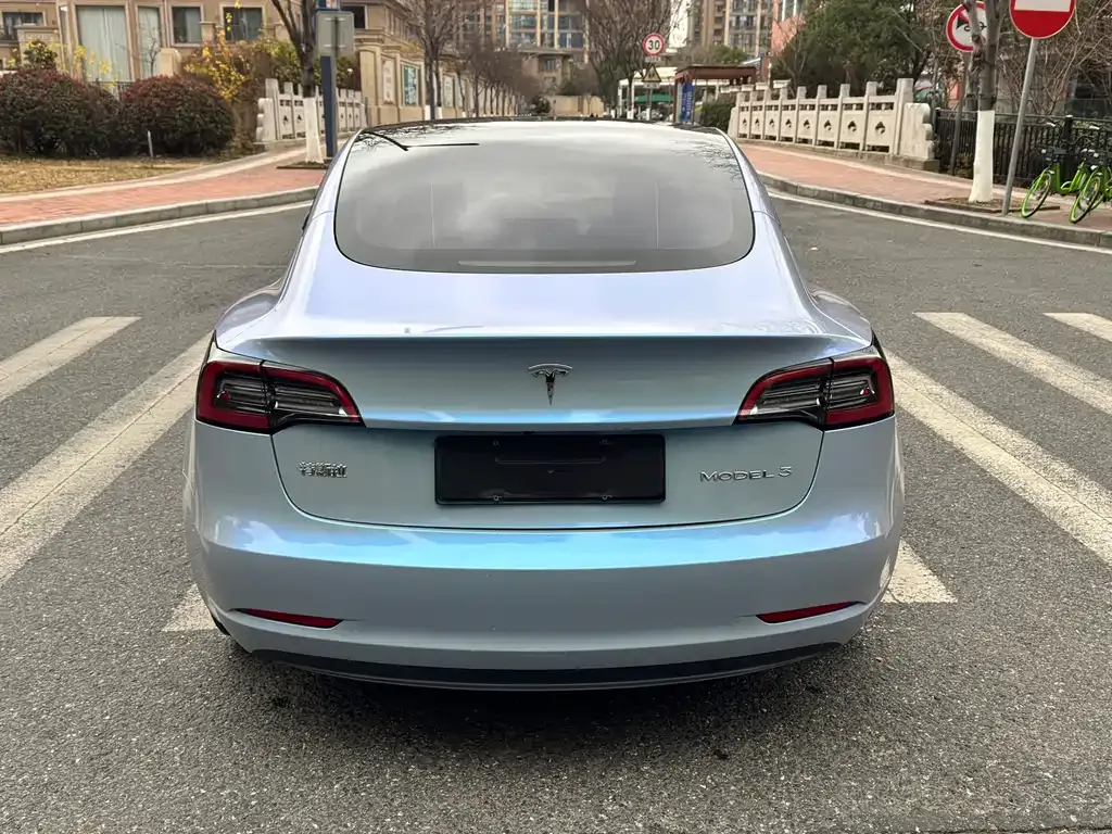 Tesla Model 3 2021 из CN, фото 4