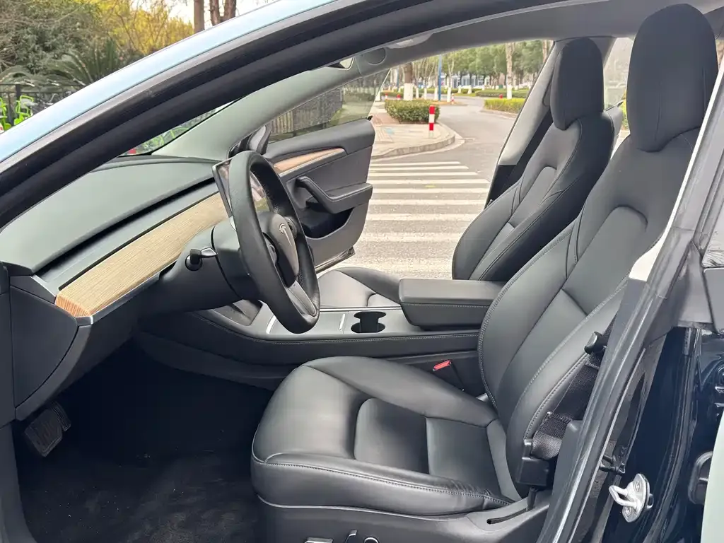 Tesla Model 3 2021 из CN, фото 6