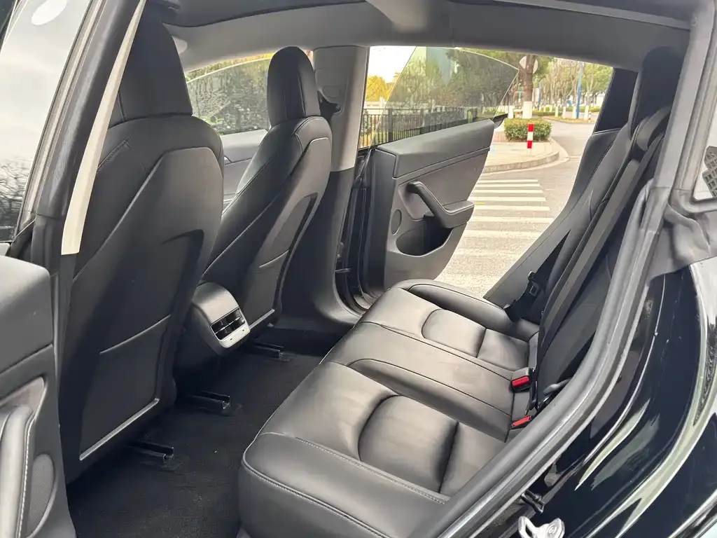 Tesla Model 3 2021 из CN, фото 3