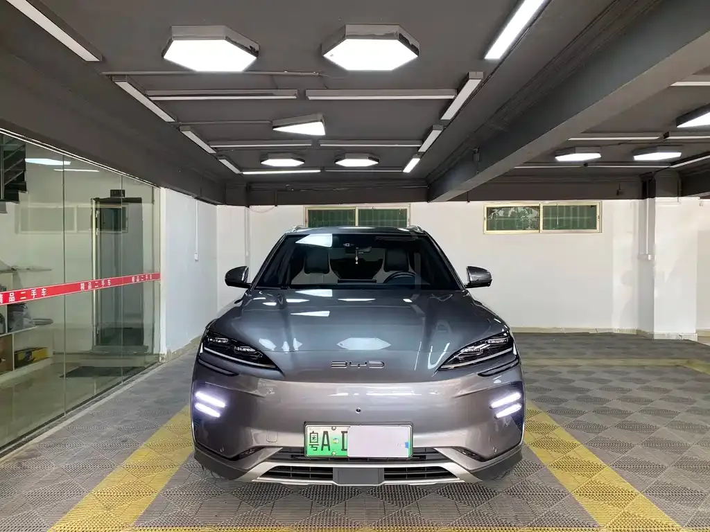 BYD PLUS New Energy 2023 из CN, фото 6