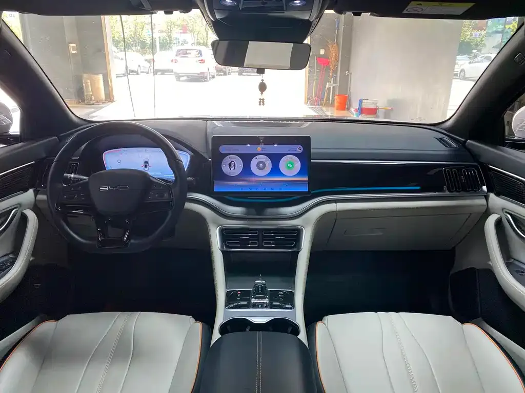 BYD PLUS New Energy 2023 из CN, фото 5