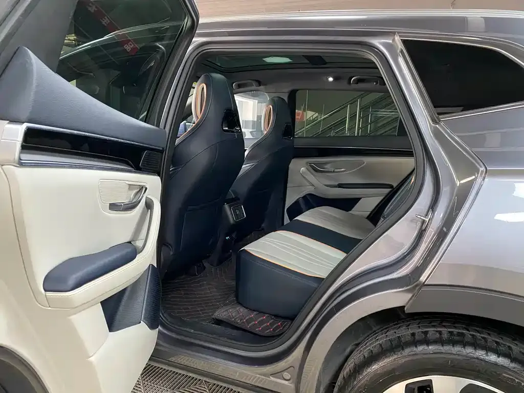 BYD PLUS New Energy 2023 из CN, фото 3