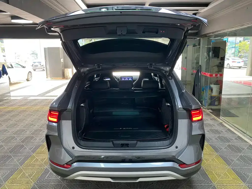 BYD PLUS New Energy 2023 из CN, фото 7