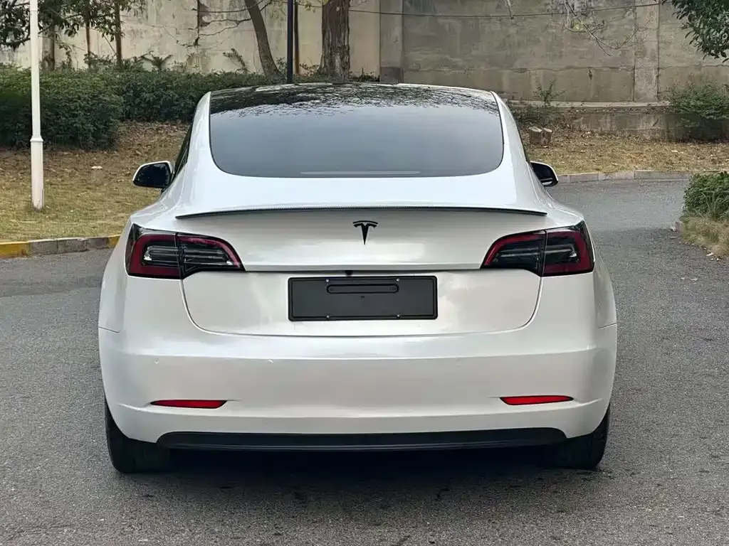 Tesla Model 3 2023 из CN, фото 9
