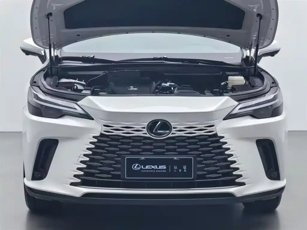 Lexus RX 2025 из CN, фото 3