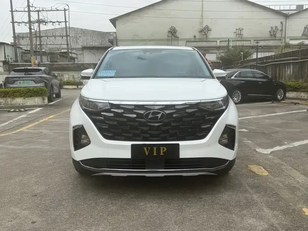 Hyundai Custo — фото 9