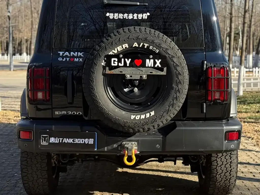 Tank 300 2022 из CN, фото 7
