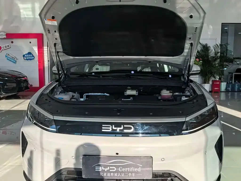 BYD Seal 05 DM-i 2025 из CN, фото 10
