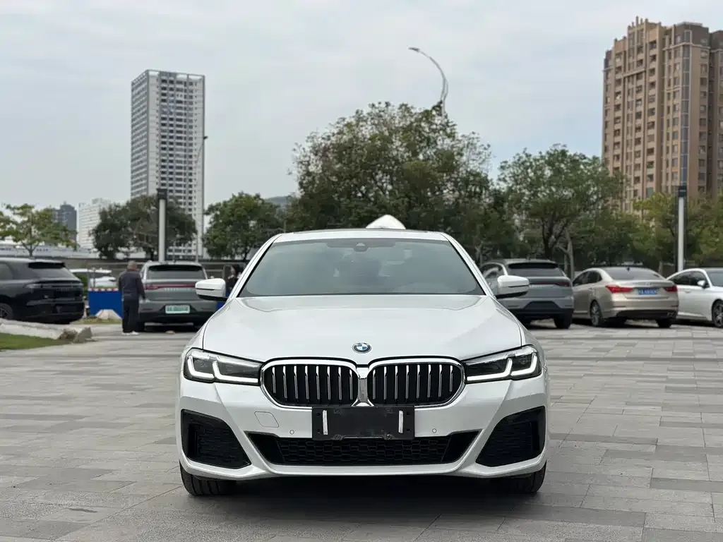 BMW 5 Series 2023 из CN, фото 3