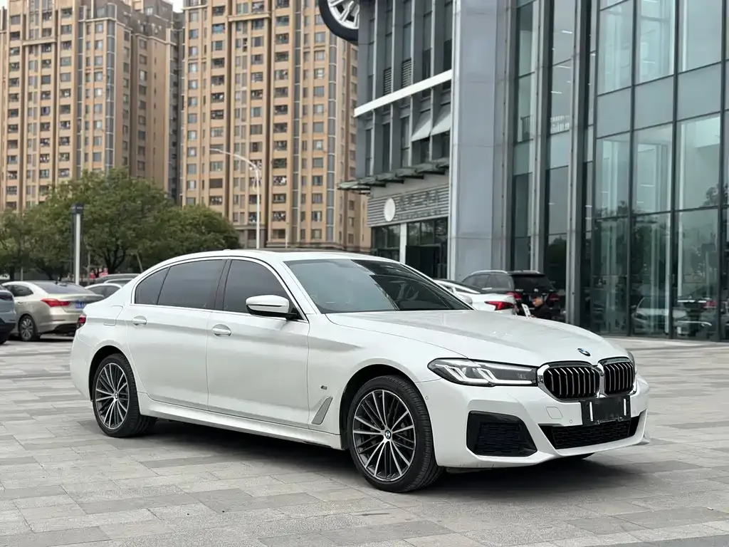 BMW 5 Series 2023 из CN, фото 2