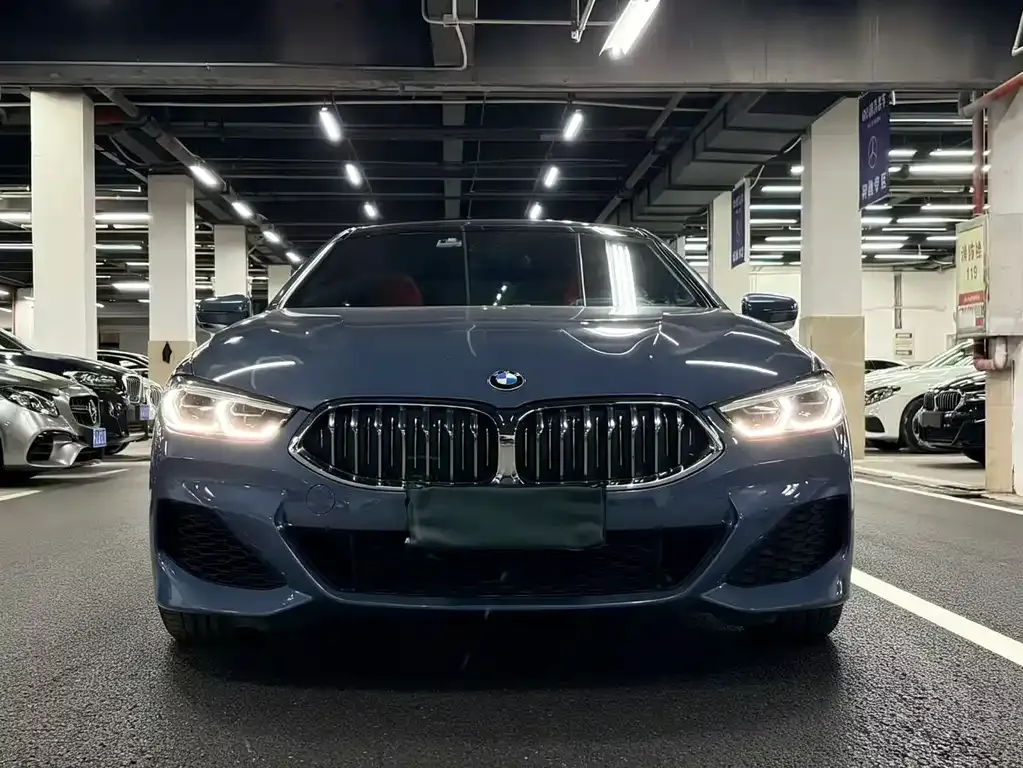 BMW 8 Series 2021 из CN, фото 9