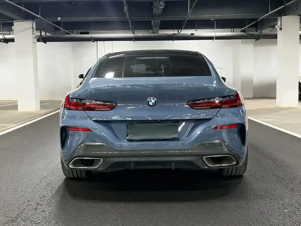 BMW 8 Series 2021 из CN, фото 7