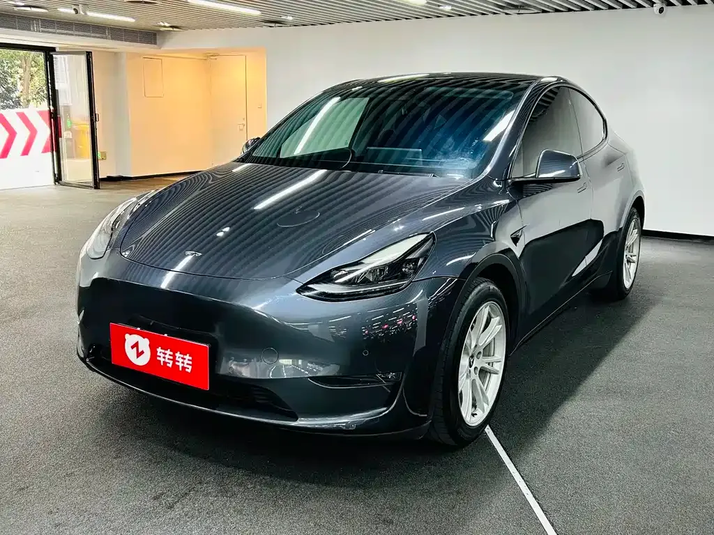 Tesla Model Y 2021 из CN, фото 1