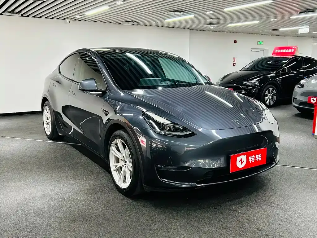 Tesla Model Y 2021 из CN, фото 8