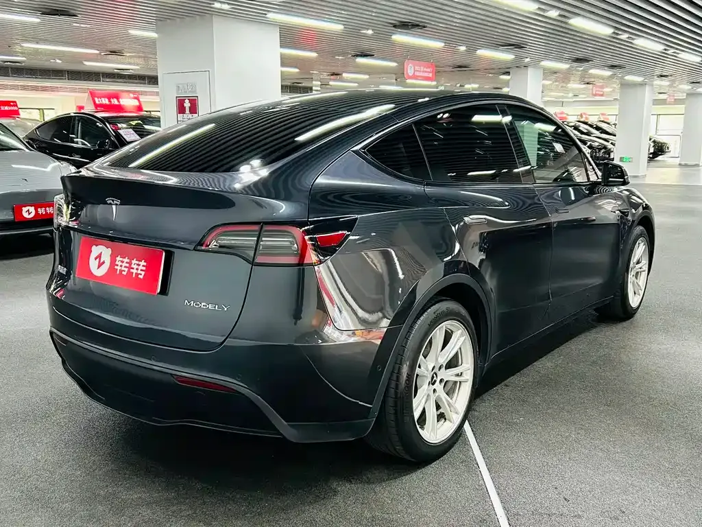 Tesla Model Y 2021 из CN, фото 5