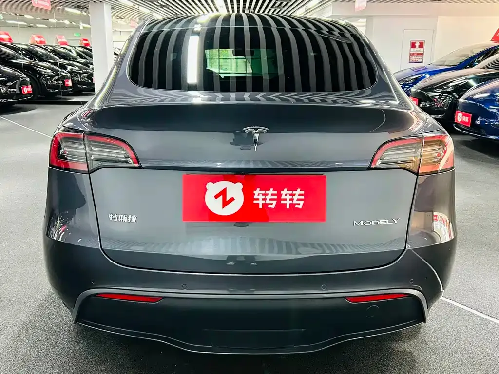 Tesla Model Y 2021 из CN, фото 10