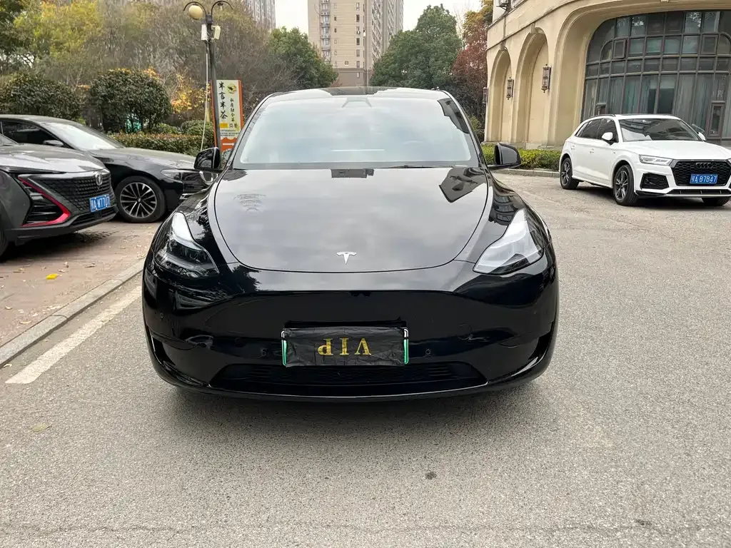 Tesla Model Y 2023 из CN, фото 2