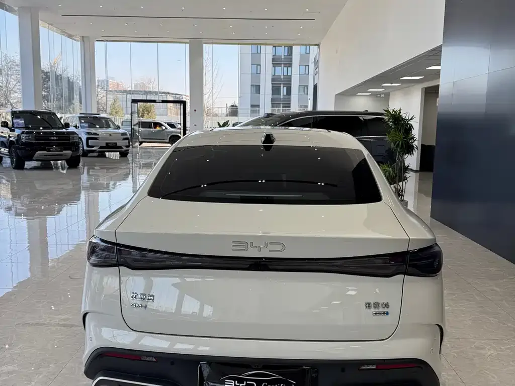 BYD Seal 06 2025 из CN, фото 3