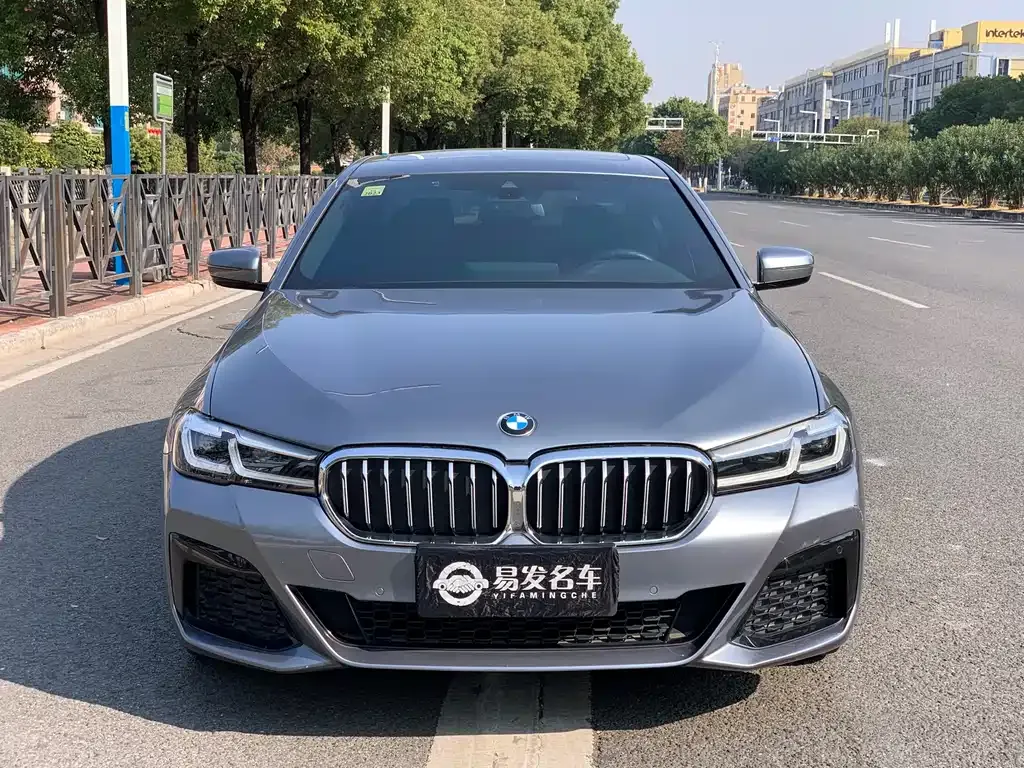 BMW 5 Series (Import) 2021 из CN, фото 1