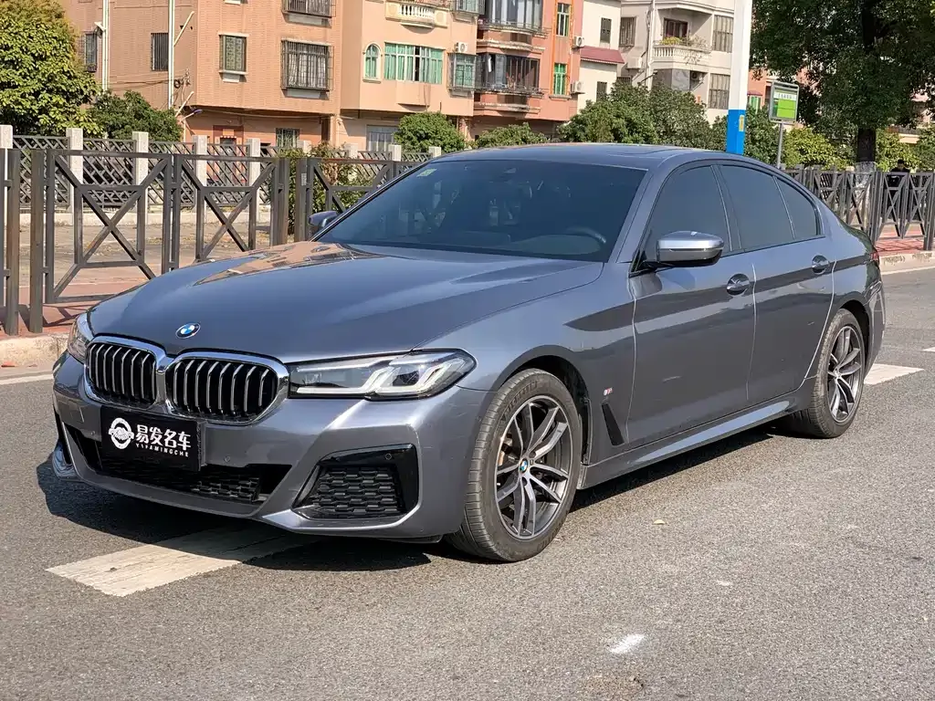 BMW 5 Series (Import) 2021 из CN, фото 9