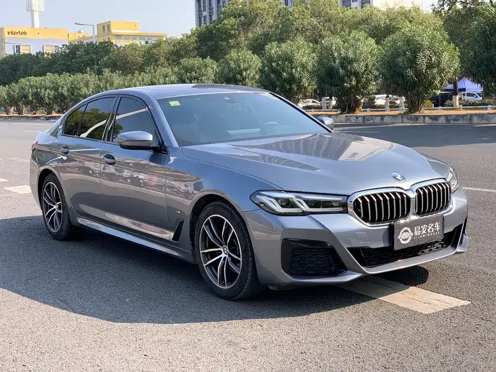 BMW 5 Series (Import) 2021 из CN, фото 8