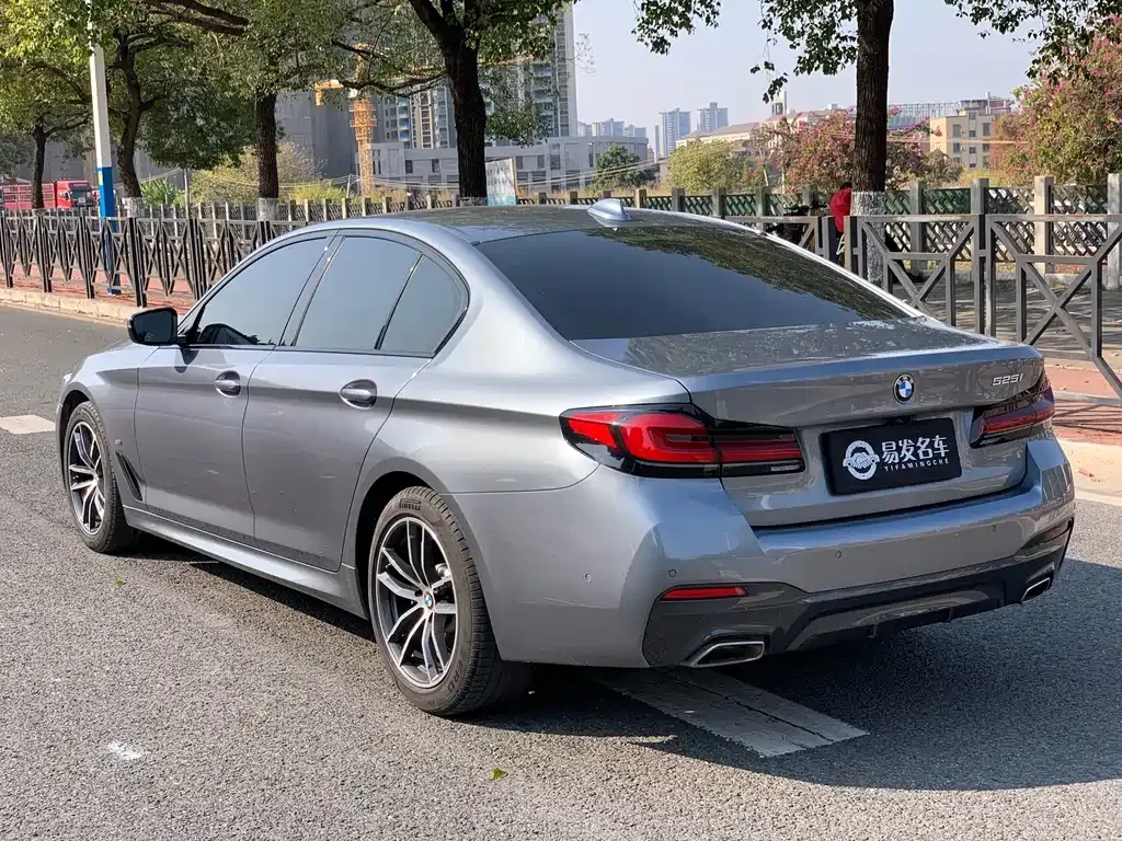BMW 5 Series (Import) 2021 из CN, фото 10