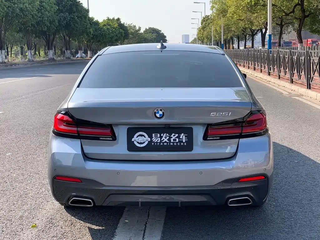 BMW 5 Series (Import) 2021 из CN, фото 6