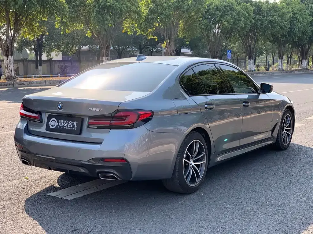 BMW 5 Series (Import) 2021 из CN, фото 5