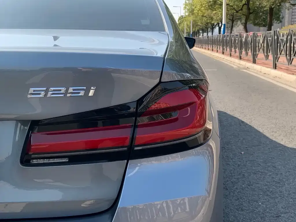 BMW 5 Series (Import) 2021 из CN, фото 4