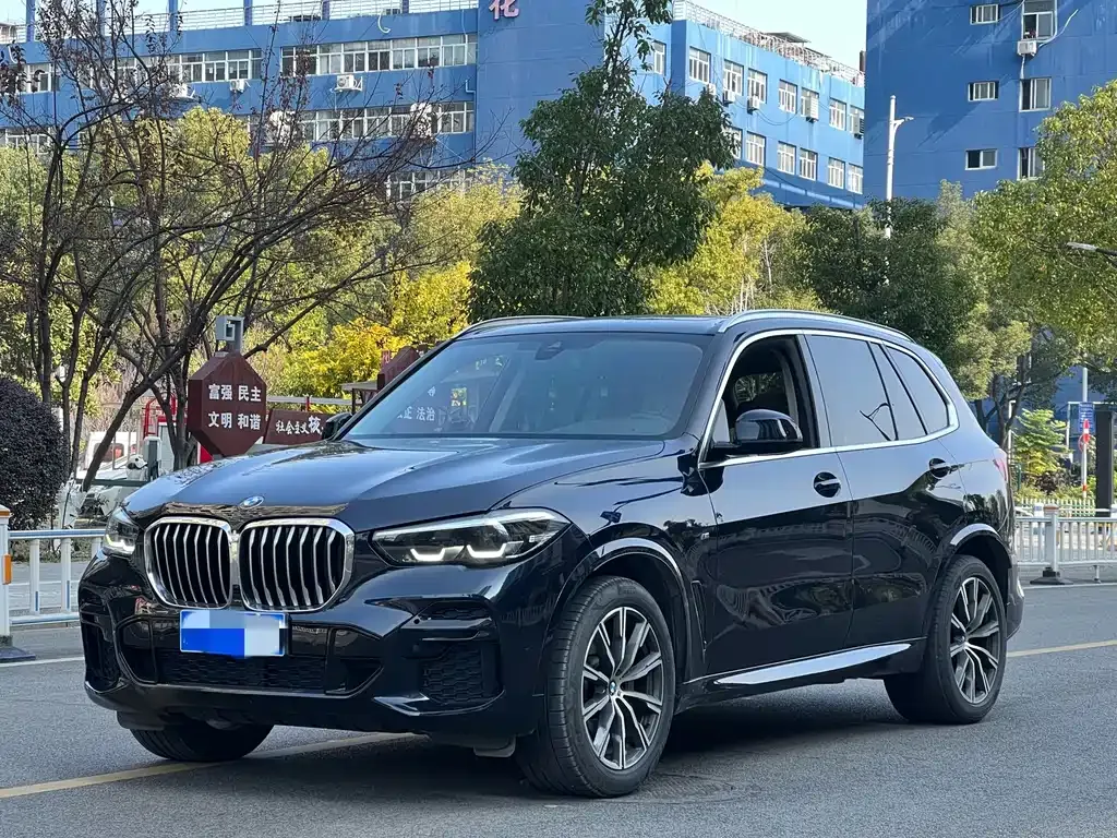 BMW X5 (Import) 2022 из CN, фото 1