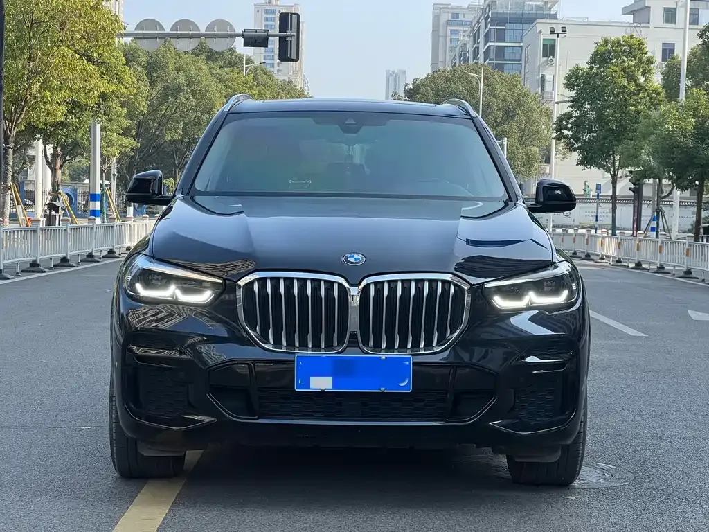 BMW X5 (Import) 2022 из CN, фото 4