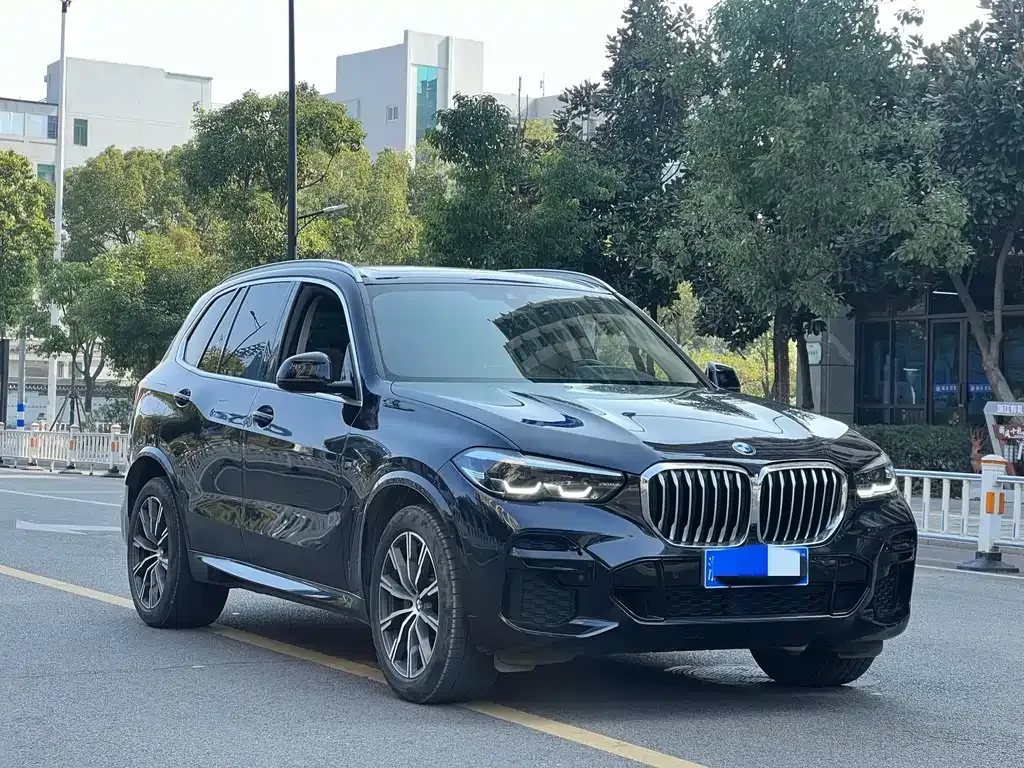 BMW X5 (Import) 2022 из CN, фото 5