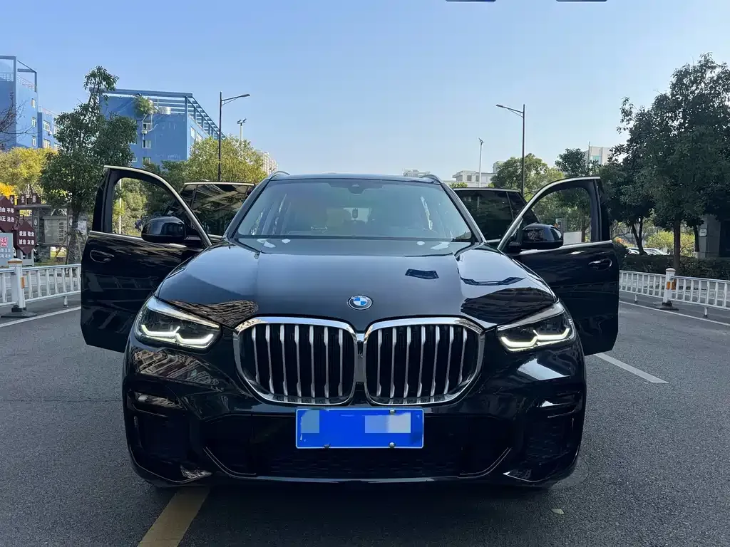 BMW X5 (Import) 2022 из CN, фото 6