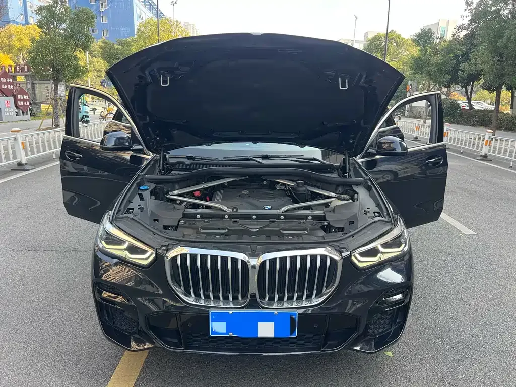 BMW X5 (Import) 2022 из CN, фото 8