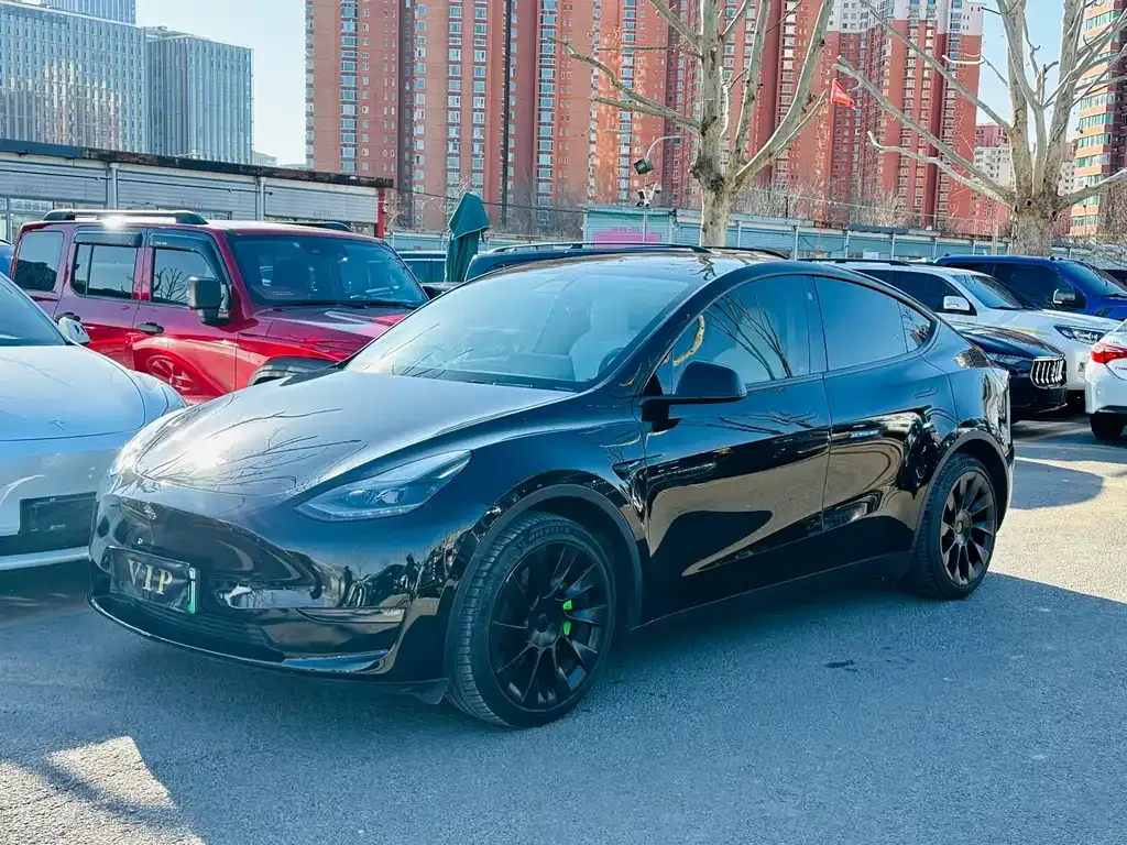 Tesla Model Y 2021 из CN, фото 1