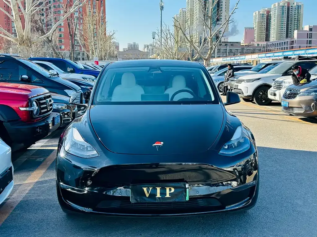 Tesla Model Y 2021 из CN, фото 9