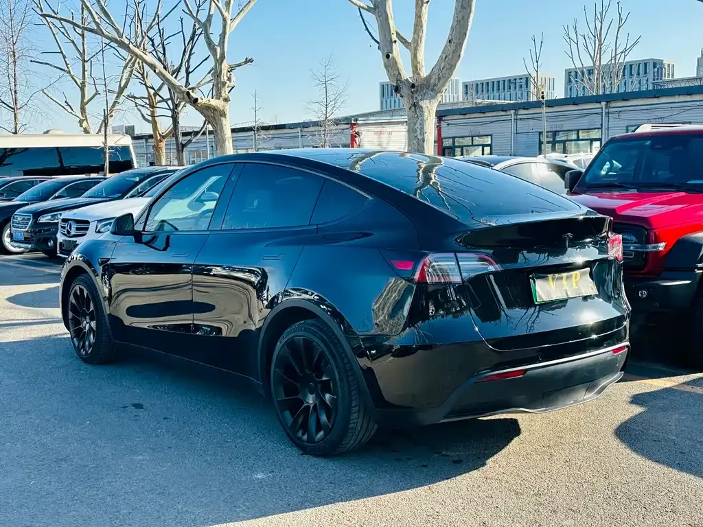 Tesla Model Y 2021 из CN, фото 10