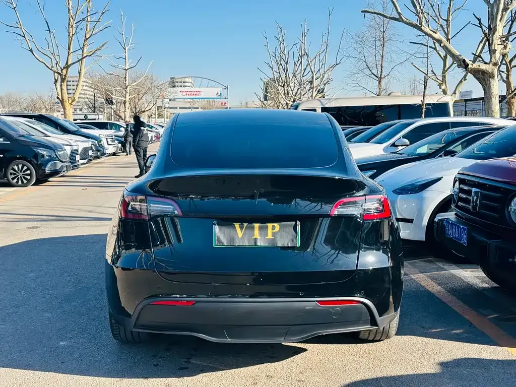 Tesla Model Y 2021 из CN, фото 6