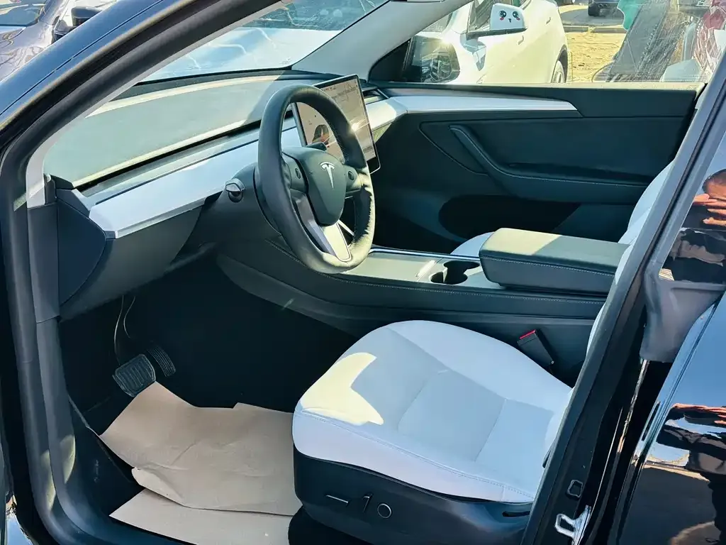 Tesla Model Y 2021 из CN, фото 2