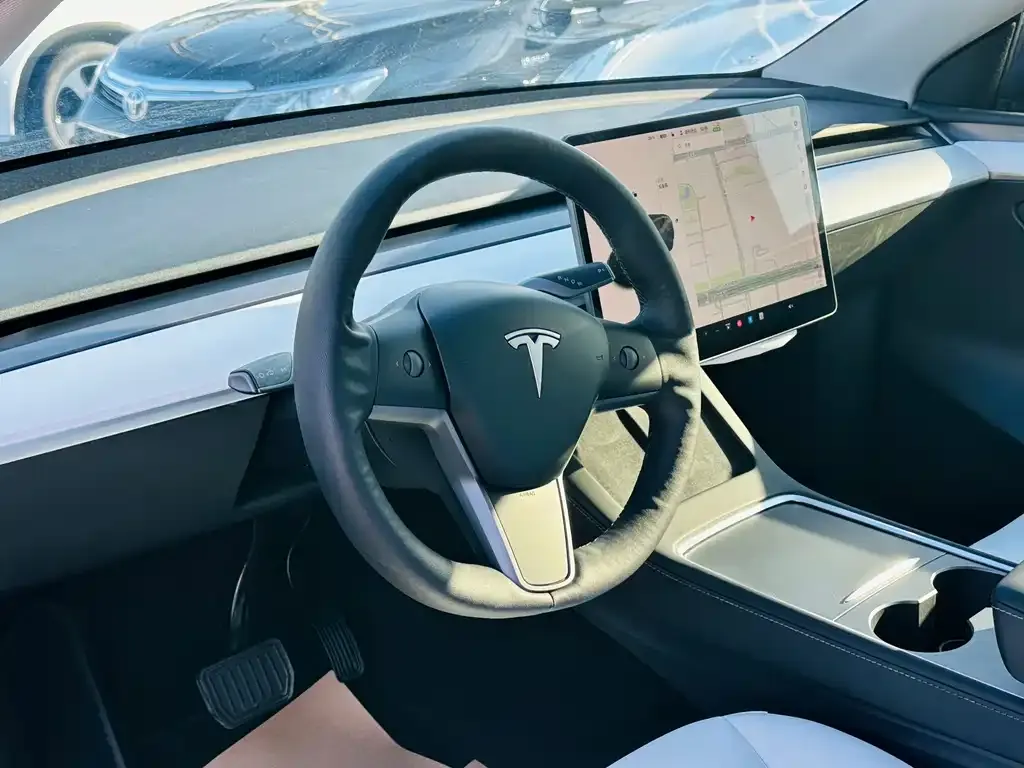 Tesla Model Y 2021 из CN, фото 5