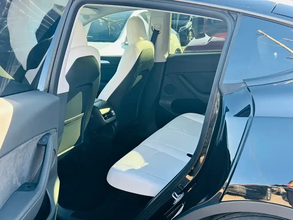 Tesla Model Y 2021 из CN, фото 4