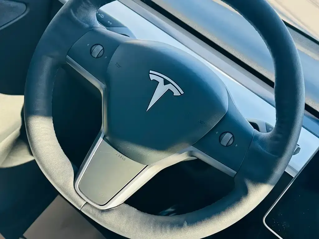 Tesla Model Y 2021 из CN, фото 3