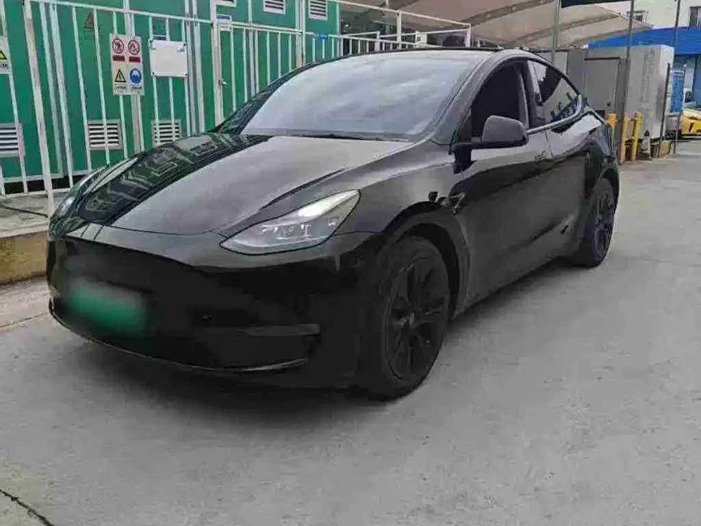 Tesla Model Y 2021 из CN, фото 1