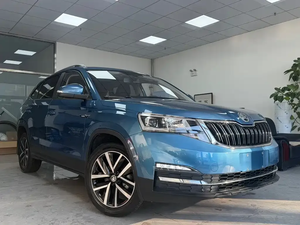 Skoda Kamiq 2022 из CN, фото 4