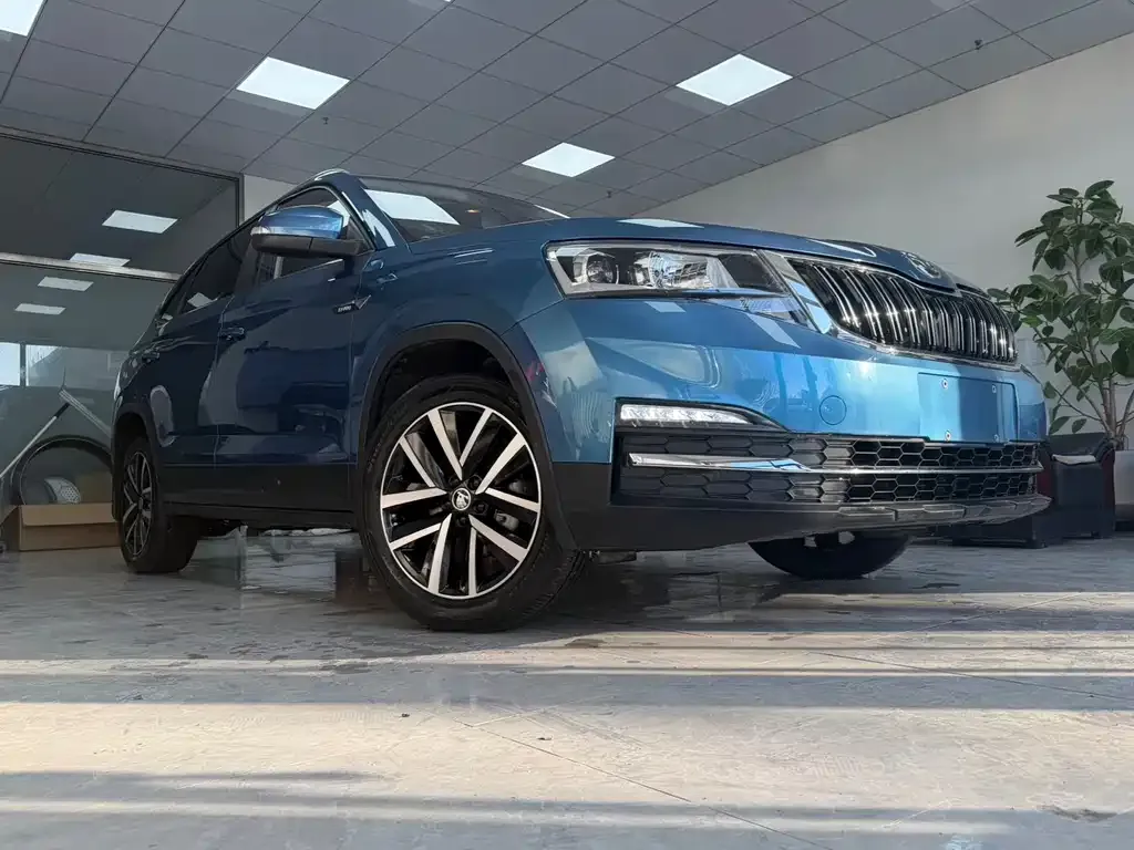 Skoda Kamiq 2022 из CN, фото 2